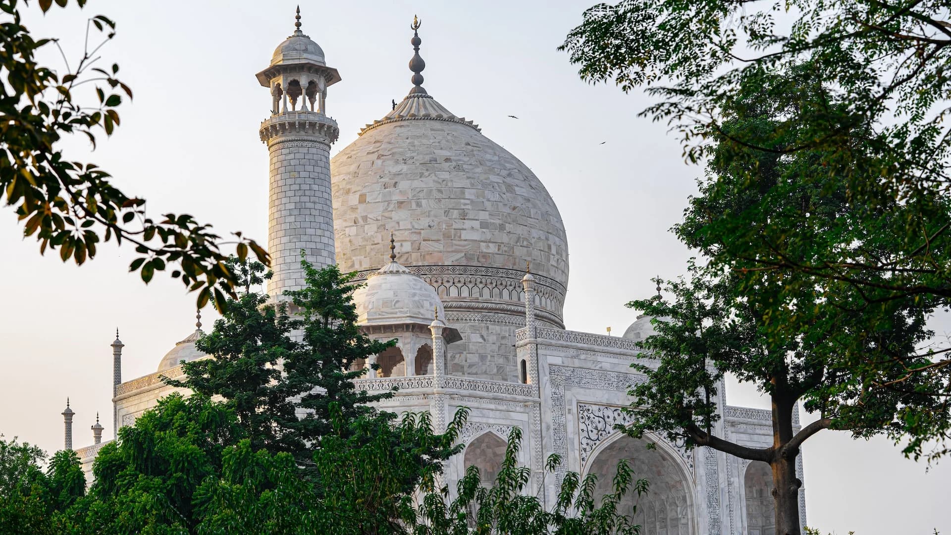 taj